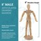 U.S. Art Supply 8" Wooden Male Manikin Posable Figure for Drawing - Articulated Mannequin with Base and Flexible Body for Drawing The Human Figure